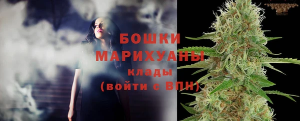 гашик Медногорск