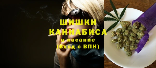 гашик Медногорск